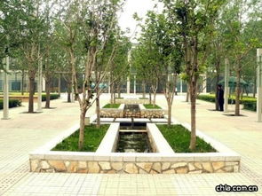 北京帝景园温泉独立式住宅样板区园林工程